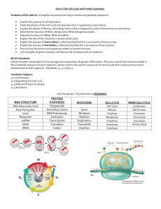 Unit 5 Overview- DNA and DNA Replication, The Cell Cycle