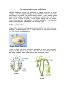 The Respiratory System and Gas Exchange