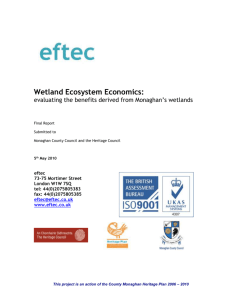 Evaluation of wetlands report.