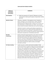 Exam Questions Feedback Template