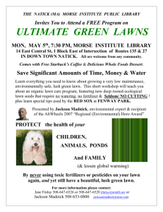 ultimate green lawns