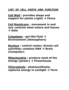 LIST OF CELL PARTS AND FUNCTION with CHA4
