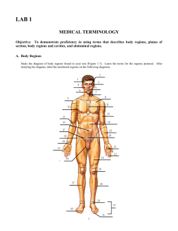 medical terminology body planes cavities directions studylib