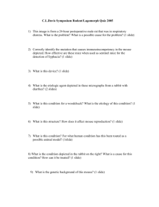 Quiz 49 (Exam Sheet)