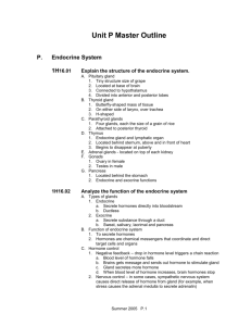 Unit P: Endocrine System