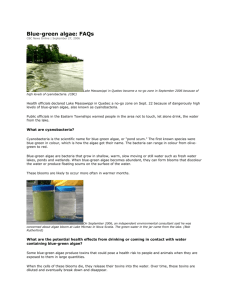 Blue-green algae: FAQs - Clear Lake Property Owners Association