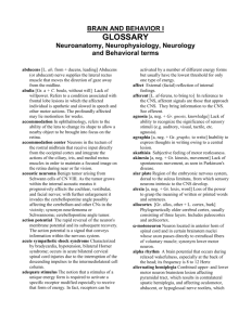 Neuroscience Glossary