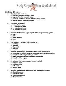 Body Organization Section 1-3 Quiz - Junction Hill C