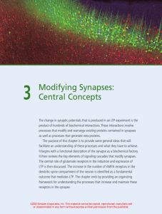 Modifying Synapses: Central Concepts