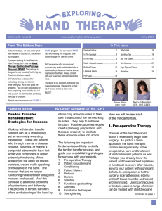 In This Issue - Exploring Hand Therapy