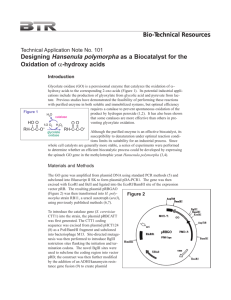 Designing Hansenula polymorpha as a Biocatalyst for the Oxidation