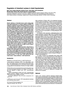 Regulation of Intestinal Lactase in Adult Hypolactasia