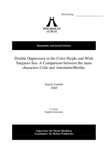 Double Oppression in the Color Purple and Wide Sargasso Sea. A