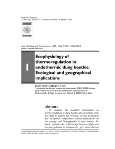 Ecophysiology of thermoregulation in endothermic dung beetles