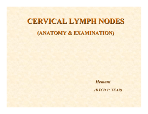 cervical lymph nodes