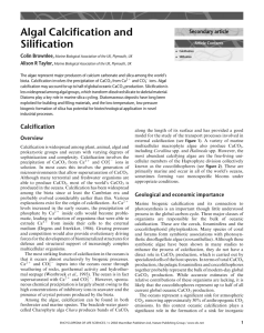 Algal Calcification and Silification