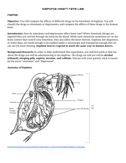 biology lab report on the effects of adrenalin on a daphnia essay I think the effect of caffeine and nicotine will have the same effect on the species we are using in class, a freshwater blackworm we will write a custom essay sample on biology lab specifically for you. biology lab report on the effects of adrenalin on a daphnia essay I think the effect of caffeine and nicotine will have the same effect on the species we are using in class, a freshwater blackworm we will write a custom essay sample on biology lab specifically for you.