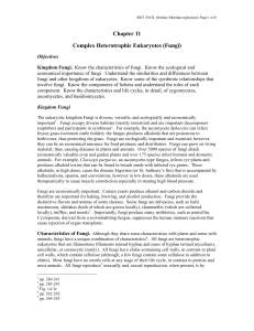 Chapter 11 Complex Heterotrophic Eukaryotes (Fungi)