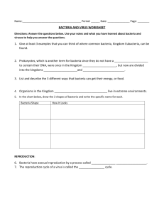 BACTERIA AND VIRUS WORKSHEET 1. Give at least 3 examples