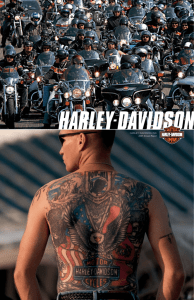 2007 Annual Report - Harley