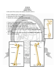 FEMUR (osteology) OBJECTIVES At the end of the session, the