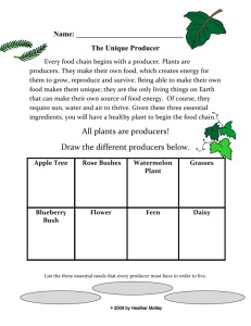 All plants are producers! Draw the different producers below.