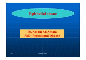 Epithelial tissue Amam picture