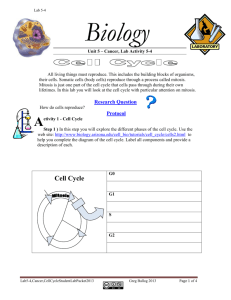 5-4 Cell Cycle