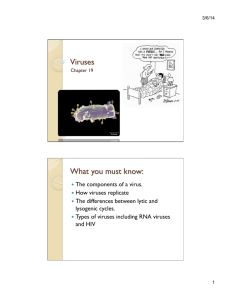 Ch 19-Viruses