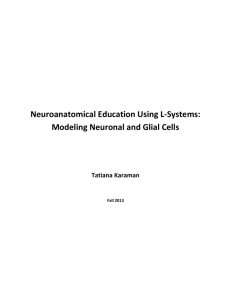 Neuroanatomical Education Using L