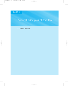 General principles of tort law