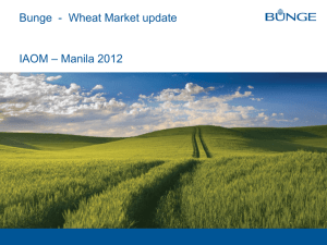 Bunge - Wheat Market update IAOM – Manila 2012
