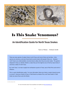 Ven snakes - Dallas-Fort Worth Herpetological Society