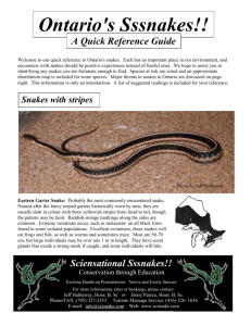 Ontario's Sssnakes!! - Sciensational Sssnakes!!