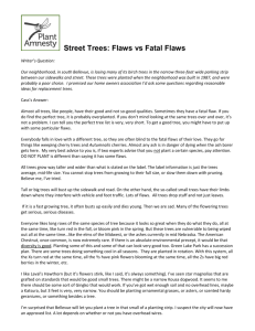 Street Trees: Flaws vs Fatal Flaws