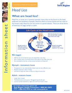 Head Lice Factsheet