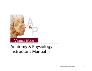 Anatomy & Physiology Instructor's Manual