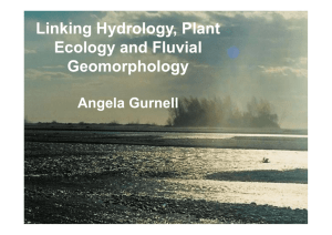 Linking Hydrology, Plant Ecology and Fluvial Geomorphology