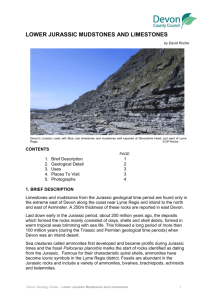 Lower Jurassic Mudstones and Limestones