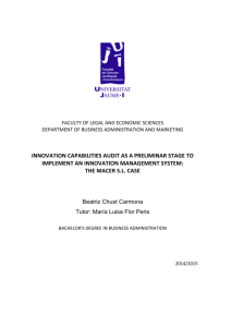 innovation capabilities audit as a preliminar stage to