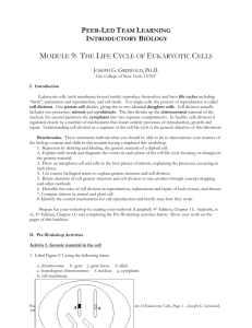WORKSHOP 1: LIFE CYCLE OF THE CELL