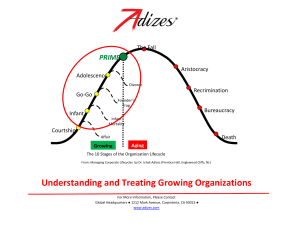Understanding and Treating Growing Organizations