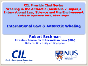 International Law & Antarctic Whaling