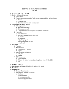 BOTANY 404 OUTLINE OF LECTURES Fall 2004 I. PLANT CELL