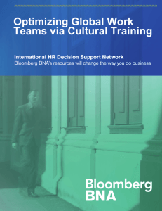 Optimizing Global Work Teams via Cultural Training