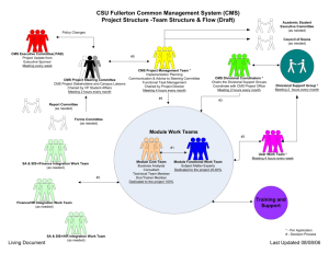CMS Project Structure--Team Structure and Work Flow