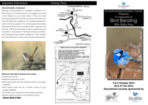 Bird Banding - Gluepot Reserve