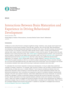 Interactions Between Brain Maturation and Experience in Driving