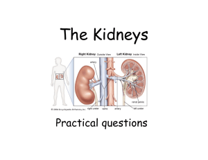 The Kidney - TeachLine