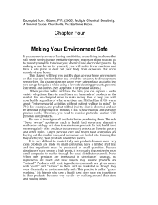 Chapter Four Making Your Environment Safe